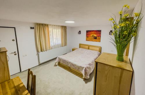 camera-tripla-pensiune-domnesti